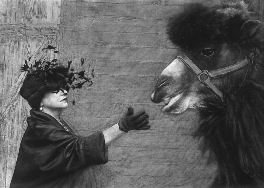 fotografia bianco nero, donna con cappotto e cappello con piume stende mano con guanto verso dromedario
