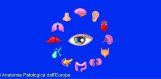 Sfondo blu, ghirlanda di organi umani realizzati in computer grafica con al centro un occhio
