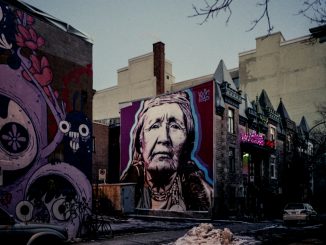 Murales donna indiana pellirossa stile pop in ambiente urbano di periferia