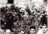 fotografia, bianco e nero, 4 giovani uomini in giacca e cravatta seduti su una panchina, sfondo cespugli di un giardino: Leonardo Sciascia con suoi compagni del Magistrale Superiore a Caltanissetta