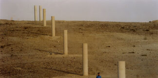 fotografia, colori, esterno, deserto grigio, una fila di pali in cemento, un uomo vestito di blu in piedi tra i pali, cielo grigio