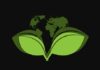 Immagine, grafica digitale, sfondo nero, 2 foglie verdi in primo piano sostengono un mappamondo verde, articolo sulla salute pubblica planetaria