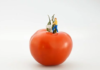 On a white background stands a red tomato on top of which rests the stylized miniature of a man in the act of pushing a shopping cart.