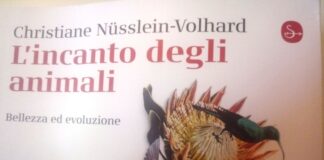 “L’incanto della natura”