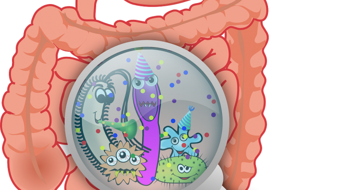 Gut health Probiotics