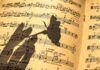 pagina di uno spartito musicale con ombra di una mano che regge un fiore