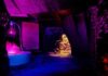 foto, interno, colori, sala buia con luci viola e blu, dalla mostra New Impressions of Raymond Roussel, Parigi 2013