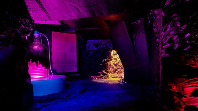 foto, interno, colori, sala buia con luci viola e blu, dalla mostra New Impressions of Raymond Roussel, Parigi 2013