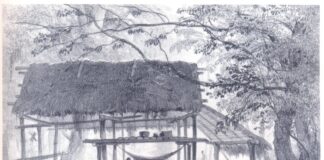 The picture consist in a hand-drawn wooden hut in the middle of the Amazon forest, with some people inside it
