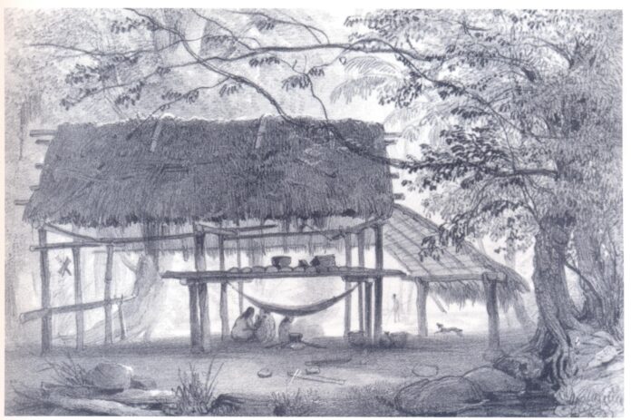 l'immagine consiste in un disegno a matita di una capanna di foglie e legno nel mezzo della foresta amazzonica, con alcune persone presenti all'interno