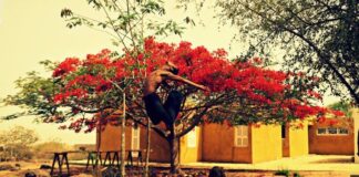 Spettacoli danza estate 2020 - ballerino di Ecole des Sables salta in giardino fiorito