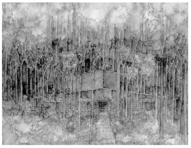 rendering di una casa privata su un sito immerso in un fitto; panoramica dell’interno-esterno dell’edificio, assorbito da alberi e vegetazione regionale. L'immagine è un disegno realizzato ad inchiostro che mostra una casa immersa in una fitta foresta