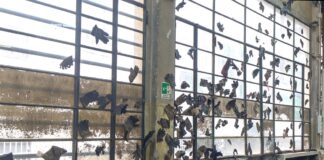 you can see a big wall with many black worn work-gloves