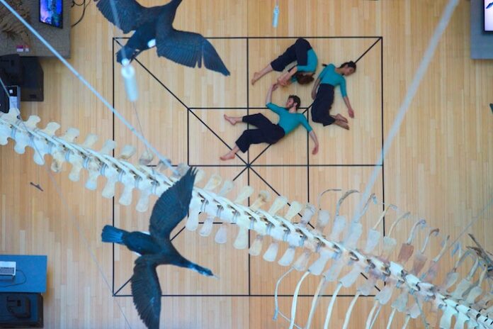 the picture, shows three people seen from above . the three people wears blue shirt and black trousers and appear to be sleeping on a wooden parquet with a black lattice. Above the three people there are two balck birds and a dinosuar skeleton's tail