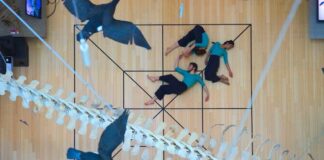 l0immagine mostra tre persone vestite con maglia blu e pantaloni neri, scalzi, adagiati su un pavimento legnoso segnato da un reticolo nero. sopra di essi sono visibili degli uccelli ed una coda scheletrica di un dinosauro
