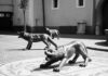 la foto in bianco e nero ritrae tre sculture a forma di lupo in una piazza del Comune di Avella