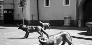 la foto in bianco e nero ritrae tre sculture a forma di lupo in una piazza del Comune di Avella