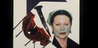la foto mostra un collage a colori che ritrae l'artista Evelina Schatz con, a sinistra, un chiodo e un pezzo di stoffa rosso