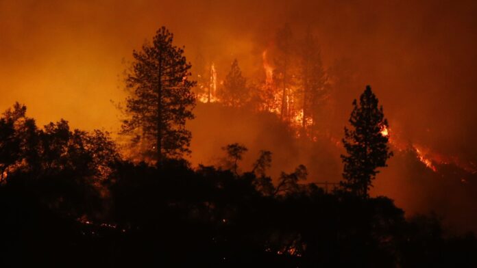 E' aperta la stagione degli incendi