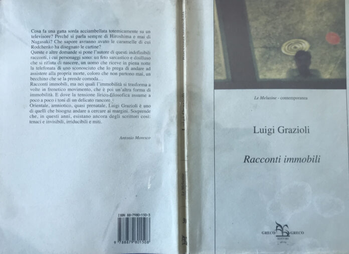Intorno ai Racconti immobili di Luigi Grazioli