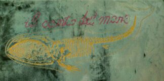 Nicola Salvatore, il canto del mare