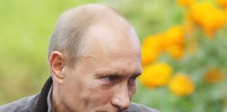 Putin se la prende con le ostriche e i moscerini