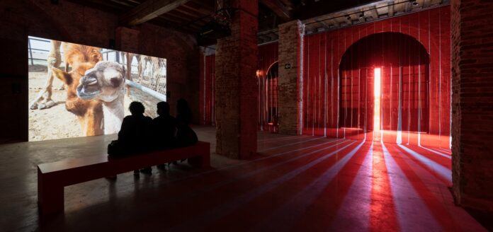 Sophia Al-Maria Tiger Strike Red, 2022 Video installation Applied Arts Pavilion Special Project at Biennale Arte 2022 A collaboration between La Biennale di Venezia and V&A, London Photo by: AVZ - Andrea Avezzù Courtesy: La Biennale di Venezia Sophia Al-Maria Tiger Strike Red, 2022 Video installation Applied Arts Pavilion Special Project at Biennale Arte 2022 A collaboration between La Biennale di Venezia and V&A, London Photo by: AVZ - Andrea Avezzù Courtesy: La Biennale di Venezia