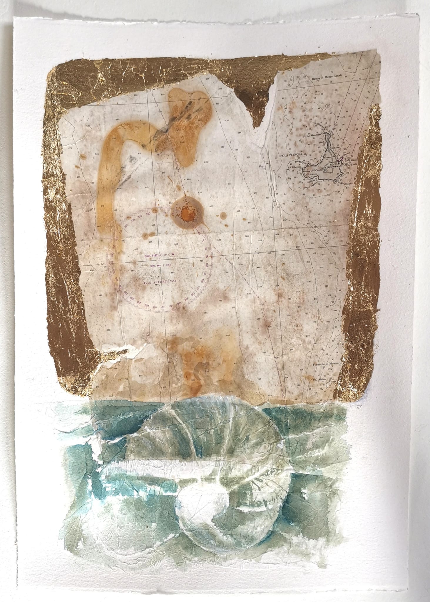 L'immagine mostra un'opera dell'artista Concetta de Pasquale: L'opera è una sorta di carta nautica a in toni seppia con dettagli astratti, e sotto di essa l'immagine stilizzata di una conchiglia in toni azzurro-grigi