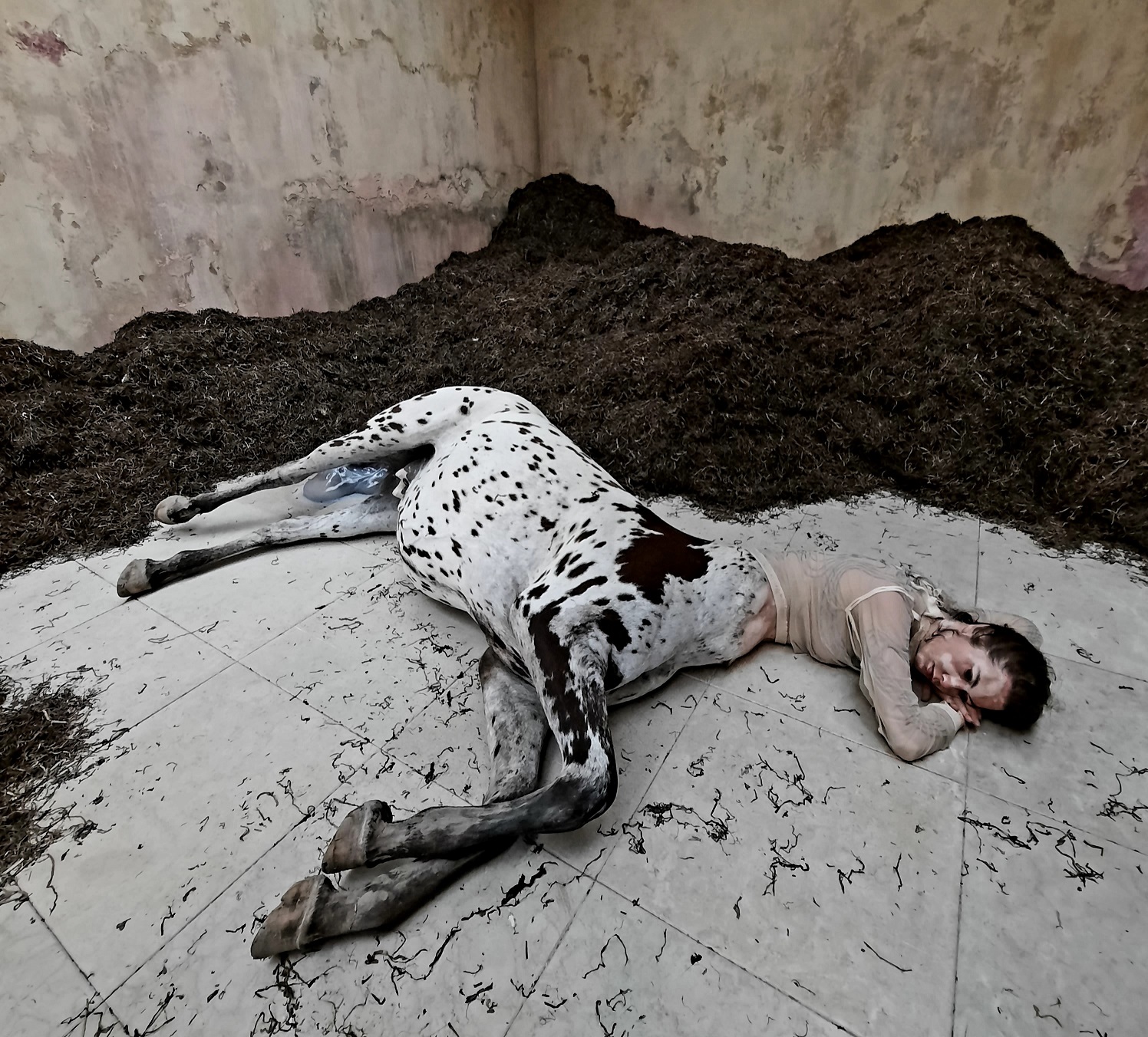 L'immagine mostra una delle opere esposte alla Biennale di Venezia 2022. L'opera in questione, "We walked the earth", esposta nel padiglione danese consiste nella scultura di un centauro adagiato a terra in una stanza le cui pareti sono parzialmente coperte da del terriccio