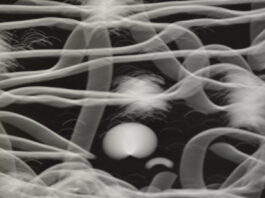 Elena Santoro, À rebours