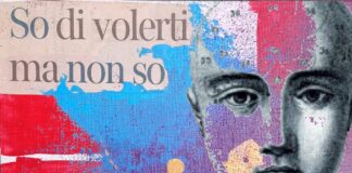 NetAnimal / Gli oscuri oggetti del desiderio nel reale e non