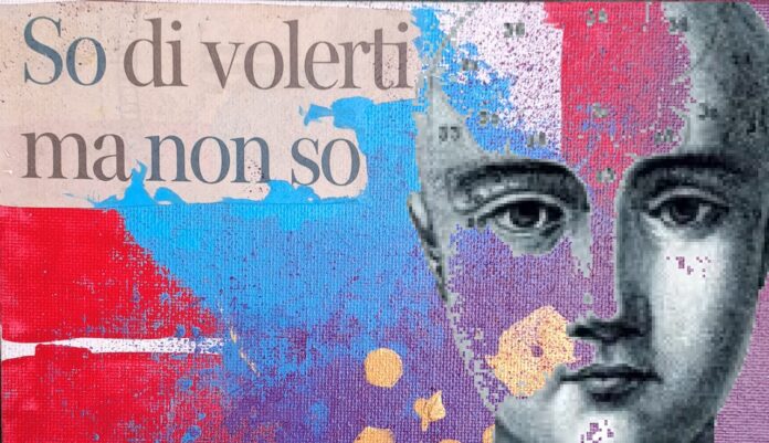 NetAnimal / Gli oscuri oggetti del desiderio nel reale e non