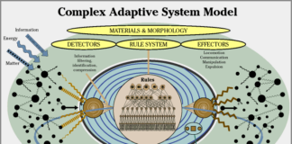Rethinking Adaptive Complex Dynamic Systems/ L’equilibrio fluttuante reversibile