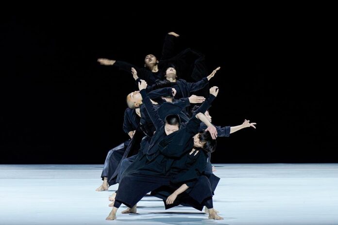 TaoDanceTheater Trends e Hype, summer dances 2025, nostalgia di futuro