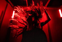 Piattaforme europee per la danza Piattaforme europee e NID